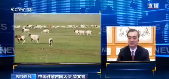 蒙古國送的3萬只羊會變成羊肉 吃貨網(wǎng)友：準備好了(圖3)