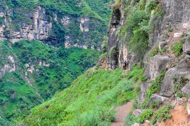 四川批準(zhǔn)涼山7縣摘帽脫貧！全省88個(gè)貧困縣全部清零